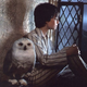 Image for article titled A brief video history of owls in science fiction and fantasy
